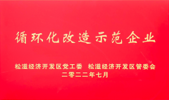 循环化改造示范企业